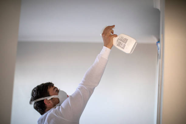 Best Best Mold Removal Companies  in Algona, WA